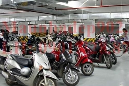 Hướng dẫn cách phân biệt các loại xe hai bánh và tuổi được phép lái xe