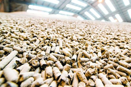 Thị trường 6 tỷ USD lao đao, đại gia ngoại tìm cửa mới