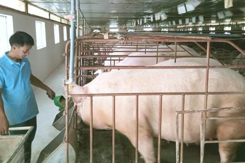 Đề cao trách nhiệm hội viên nông dân vì sức khỏe cộng đồng