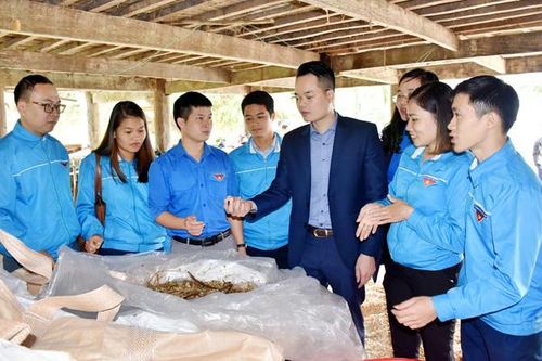 Phát huy hiệu quả mô hình Đoàn cơ sở '3 chủ động'