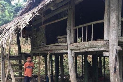 Nhóm từ thiện muốn dựng lại nhà cho 'cậu bé sống cô độc trong rừng'
