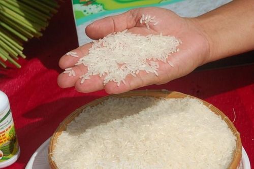 Gạo ngon nhất thế giới ST25 bày bán tại Hà Nội là mạo danh