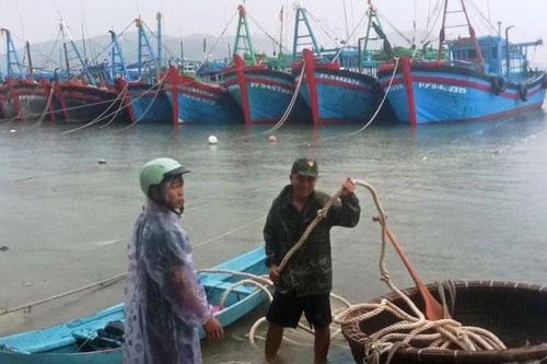 Chủ động ứng phó bão Kammuri