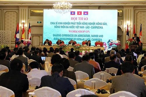 Ba nước Việt Nam-Lào-Cambodia chia sẻ kinh nghiệm phát triển 'tam nông'
