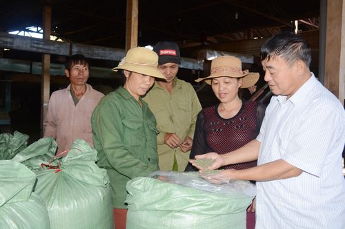 Giúp nhau giảm nghèo, làm giàu hợp pháp