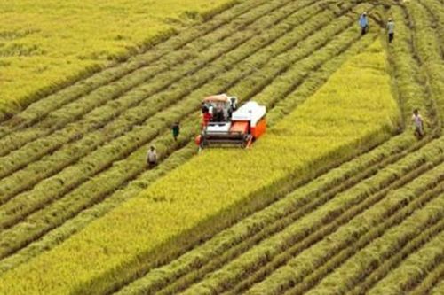 Thu hút doanh nghiệp đầu tư vào nông nghiệp: Cần tháo gỡ rào cản về đất đai