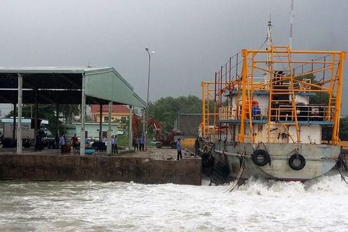 Bị bảo hiểm 'quay lưng', hàng loạt tàu vỏ thép nằm bờ thoi thóp