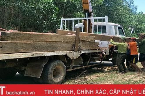 Hà Tĩnh tịch thu hơn 252 m3 gỗ và 16.000 kg lâm sản khác