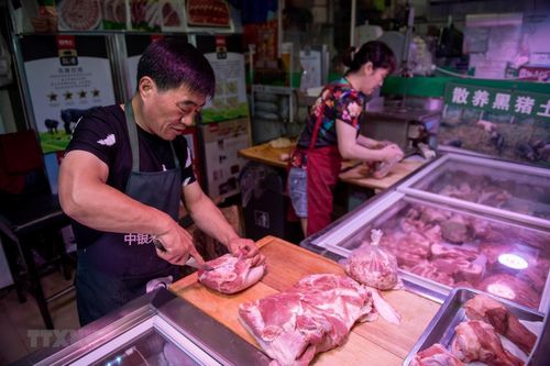 Giá thịt lợn tại Trung Quốc đi lên do nhu cầu tăng khi thời tiết lạnh