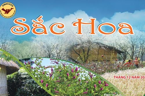Nhiều hoạt động văn hóa chủ đề 'Sắc hoa' chào đón năm mới 2020