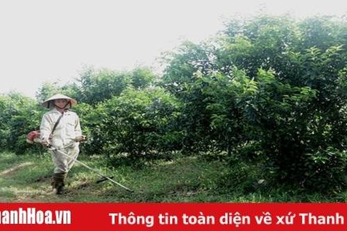 Phát triển kinh tế đa ngành tại xã Yên Lạc