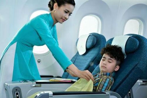 Văn minh hàng không: Khách 'lỡ tay', hãng bay 'dở khóc, dở cười'