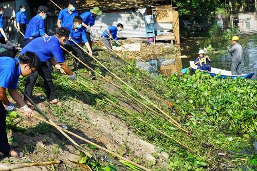 Vì thành phố Hồ Chí Minh xanh, sạch: Nhiều sáng kiến, giải pháp hiệu quả