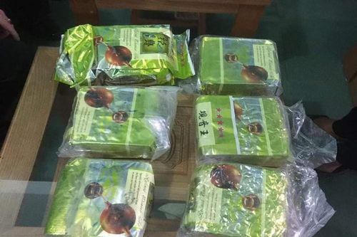 Lại phát hiện 7 gói tinh thể nghi là ma túy đá tại bờ biển Quảng Trị