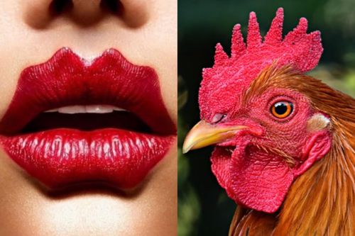 Môi mào gà đón Tết - hot trend đi đâu cũng gặp trên mạng