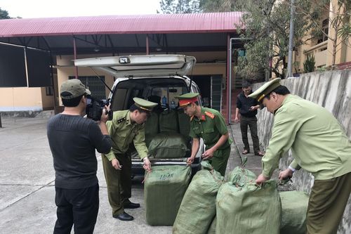 Thu giữ 600 kg nầm lợn bốc mùi hôi thối có nguồn gốc từ Trung Quốc