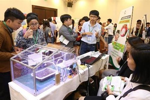 Hai nút thắt trong khởi nghiệp