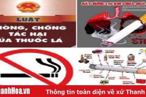 Tăng cường công tác phòng, chống tác hại thuốc lá