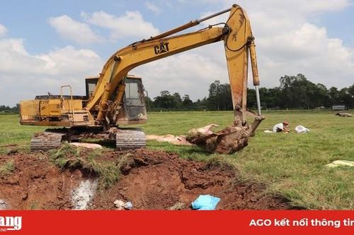 Ngăn chặn heo nhập lậu ngay từ biên giới