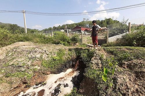 Công ty TNHH XNK cà phê Việt Bắc: Nhận sai nhưng không sửa