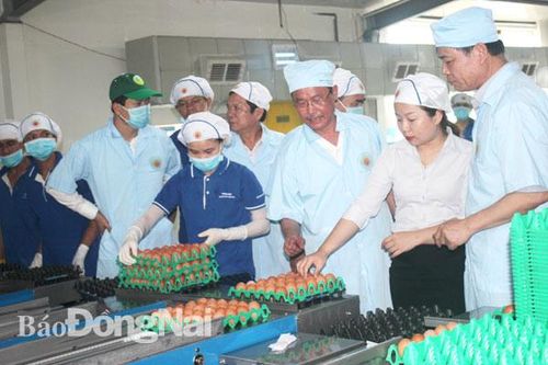 Hành trình 'không điểm dừng' của nông thôn mới
