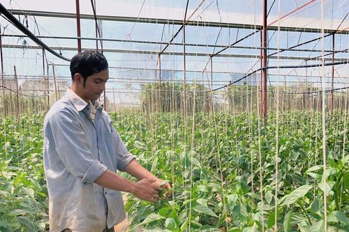 Cùng vận động bà con chuyển đổi cây trồng