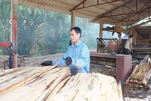 Làm giàu từ nghề chế biến gỗ