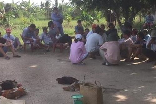 Triệt phá tụ điểm đá gà ở Gò Công Tây