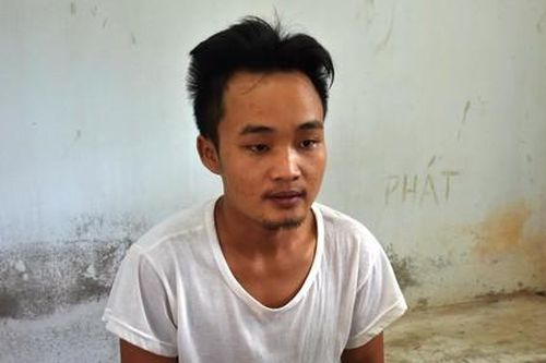 Triệt phá 'cây tặc' ở xứ dừa