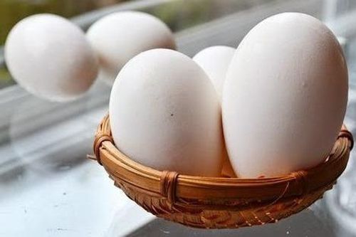 Bà bầu ăn trứng ngỗng giúp con thông minh?
