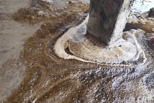 Quảng Ngãi: Nước biển tại bãi tắm Khe Hai chuyển đen bất thường