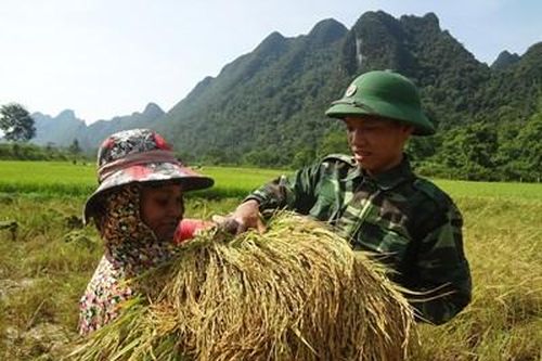 Những mùa vàng trên miền biên giới