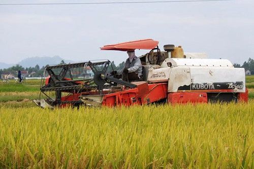 Nhiều vướng mắc, bất cập trong vấn đề dồn điền đổi thửa ở Hưng Nguyên
