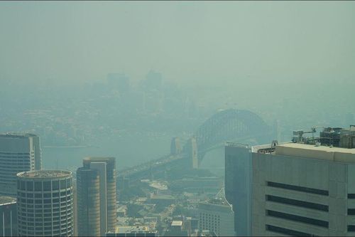 Australia: Thành phố Sydney lại chìm trong khói mù ô nhiễm