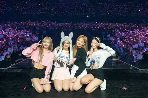 Bất bình với việc YG quản lí BlackPink, Blinks chọn cách vô cùng 'hoàng tráng' để gửi yêu cầu đến công ty này