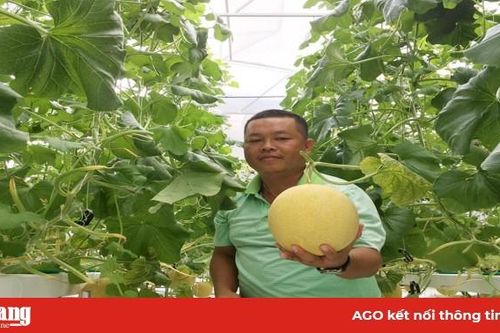 Khi nông dân ứng dụng công nghệ cao vào sản xuất