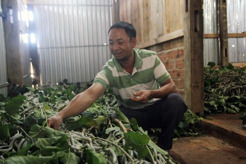 Để nghề phát triển bền vững