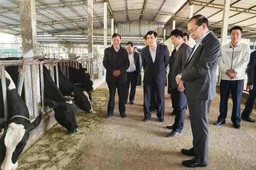 Đoàn cán bộ lãnh đạo tỉnh thăm quan mô hình phát triển KT-XH tại Mộc Châu, Sơn La