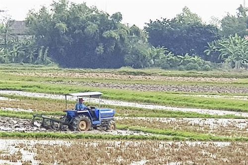 Mô hình CSA hỗ trợ lớn cho vụ đông xuân