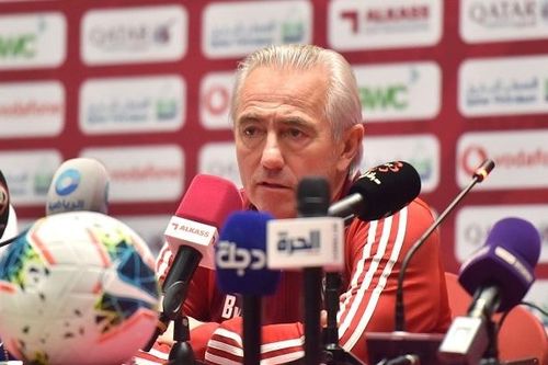 UAE sa thải HLV trưởng Van Marwijk