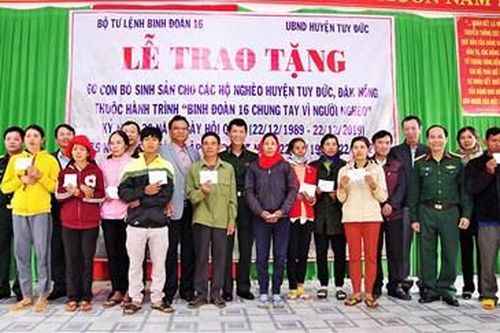 Binh đoàn 16 trao bò giống sinh sản tặng hộ nghèo biên giới
