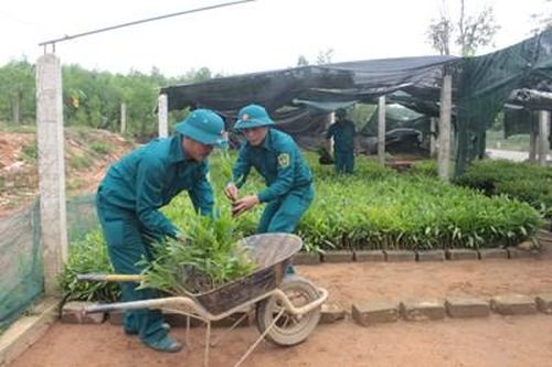 'Sao vuông' Cẩm Mỹ xung kích xóa nghèo