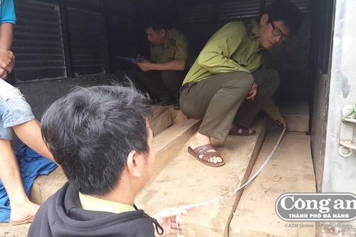 Truy bắt xe chở 'gỗ lậu'