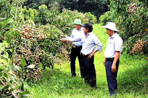 Xây dựng thương hiệu nông sản Đông Nam bộ