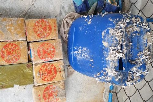 Trắng đêm tuần tra tìm ma túy trôi dạt vào bãi biển