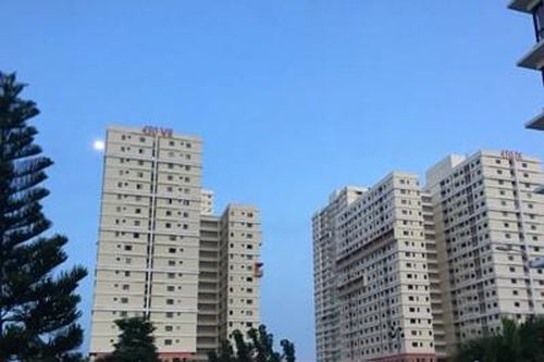 TP HCM 'bêu tên' 1.577 doanh nghiệp nợ thuế hơn 3.301 tỷ đồng