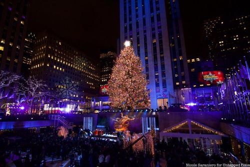 Thắp sáng cây thông khổng lồ chào đón mùa Giáng sinh tại New York