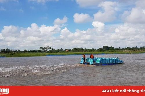 Điểm sáng liên kết sản xuất