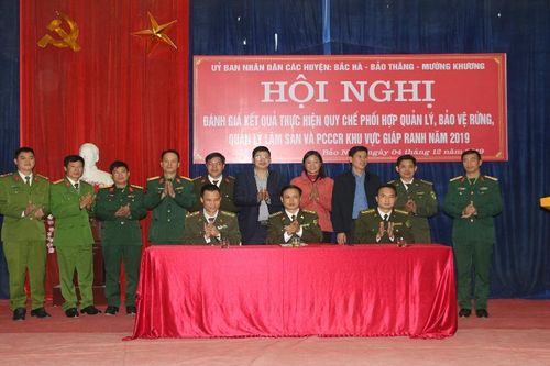 Ký kết quy chế bảo vệ rừng giữa 3 huyện Bắc Hà, Bảo Thắng và Mường Khương