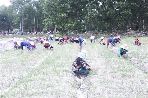 Hỗ trợ đào tạo nghề, giải quyết việc làm cho người dân sau sự cố môi trường biển